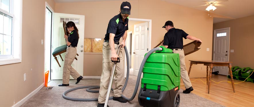 Annandale, VA cleaning services