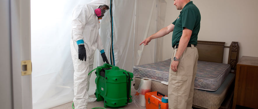 Annandale, VA mold removal process